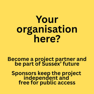 Copy of NEWSLETTER - STRATEGY